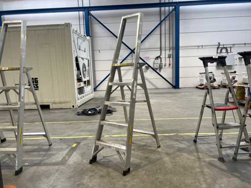 Clasificación Dirks DOB 05 2024