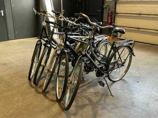 City bike (5x)