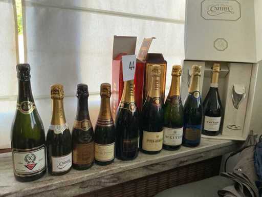 Champagne (9x)