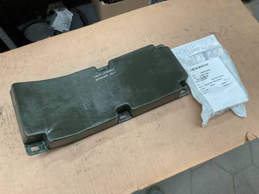 Coussin de dossier (2x)