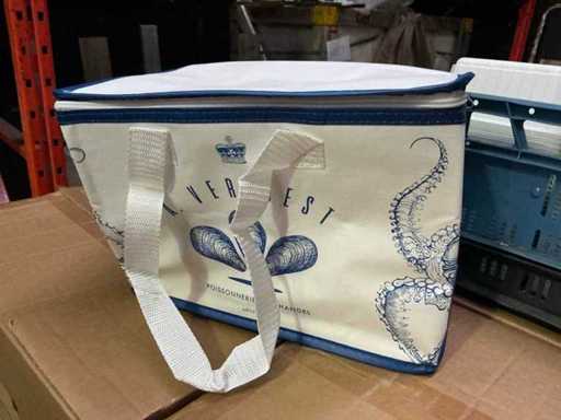 Lotto di sacchi frigorifero