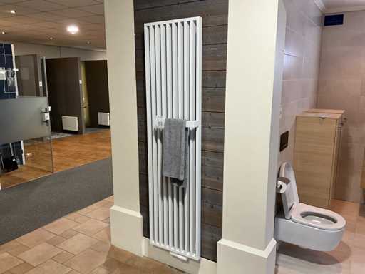 Vasco Arche Plus vertikaler Design-Radiator