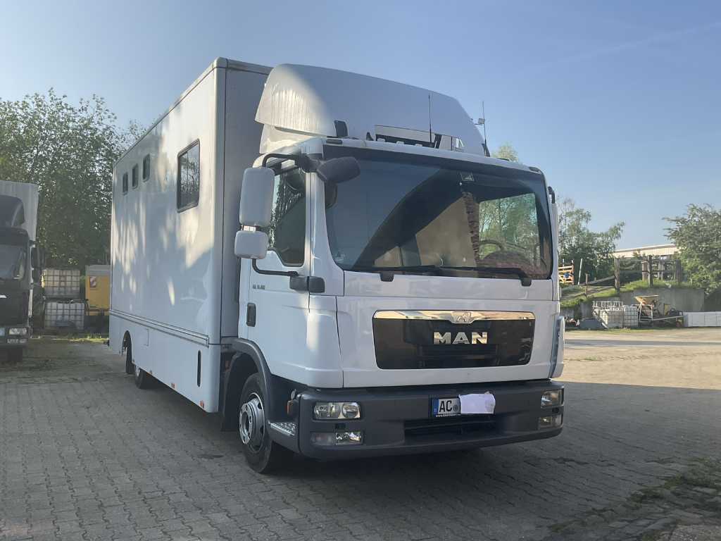 MAN - TGL 10-180 - Camion cu caroserie de Fa (JK Horsetrucks) - Transportor de cai - 2014