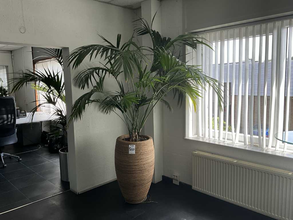 Plant met pot (10x)