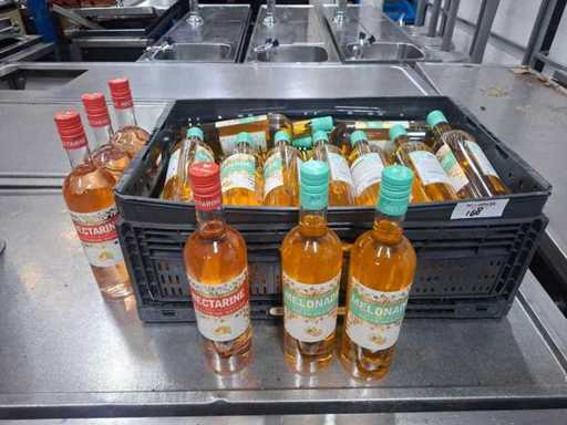 Napój z melona i nektaryny (30x)