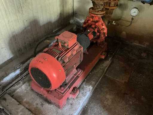 TEE Q3E 160L2D-40 Pumpe
