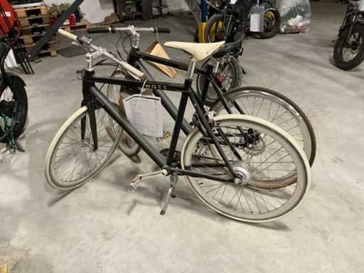 Watt Elektrische fiets (2x)