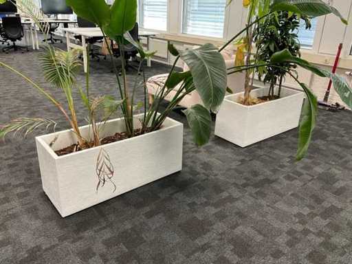 Planter (2x)