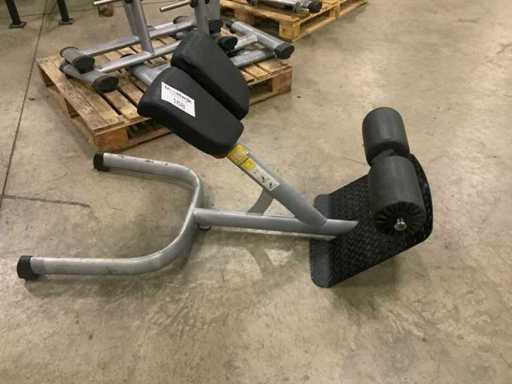 Gym80 signum lowerback Krachtstation