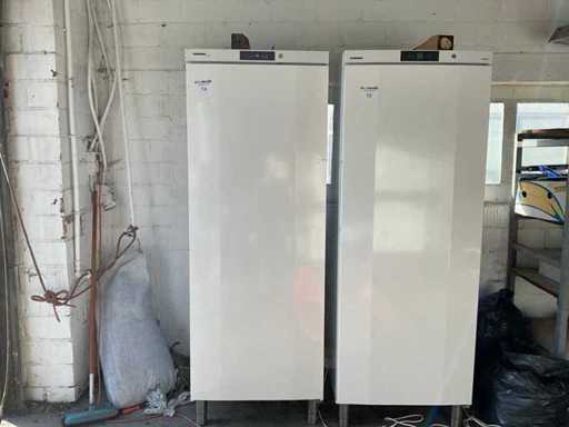 Liebherr 5810 Zamrożony