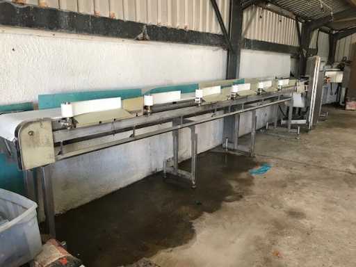 Scanvaegt - 4700 - Grader - 2007