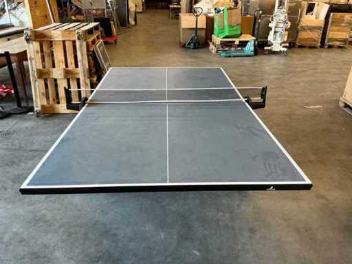 Cougar Table Tennis