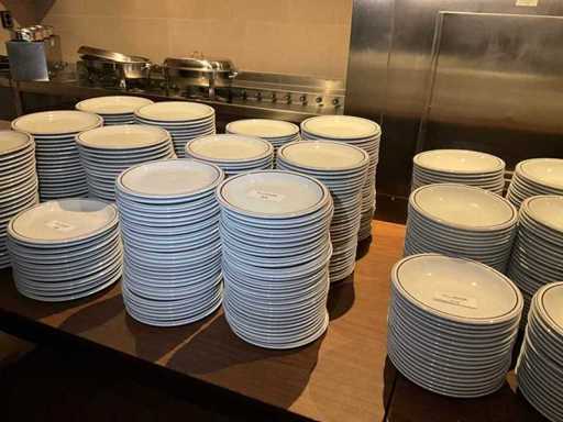 Targhetta di Zwanenburg (170x)