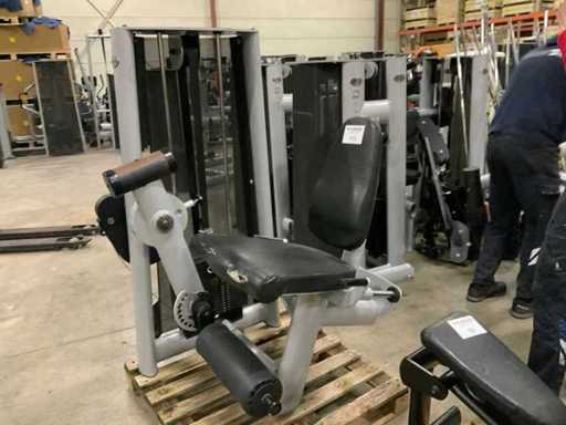 Elektrownia Gym80 Signum Leg extension