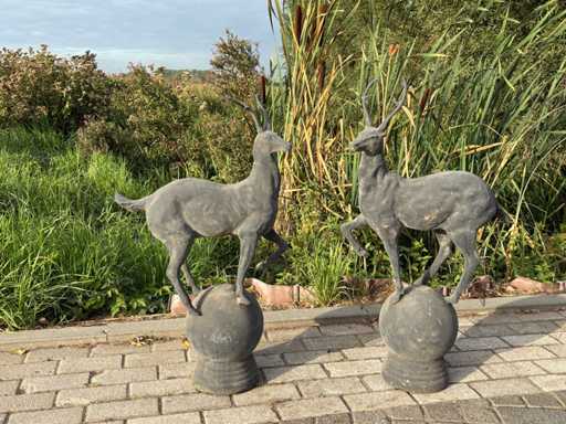 Cerb din font? pe o minge (2x)