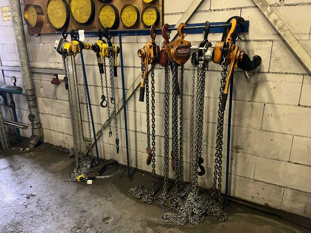 Chain Hoists with storage rack (9x)