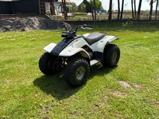 Yamaha Breeze Quad