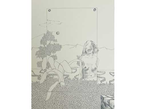 Jan Vanriet - lithograph