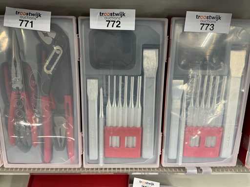 Set di scalpelli Tengtools