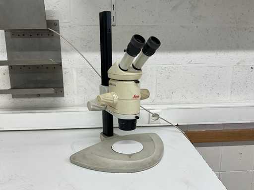 Leica MZ75 Stereo Zoom Microscope