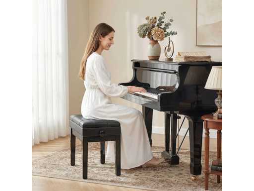 Bench, stool, seat for piano, integrated chest