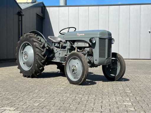 1949 Massey Ferguson TED Oldtimer-Traktor