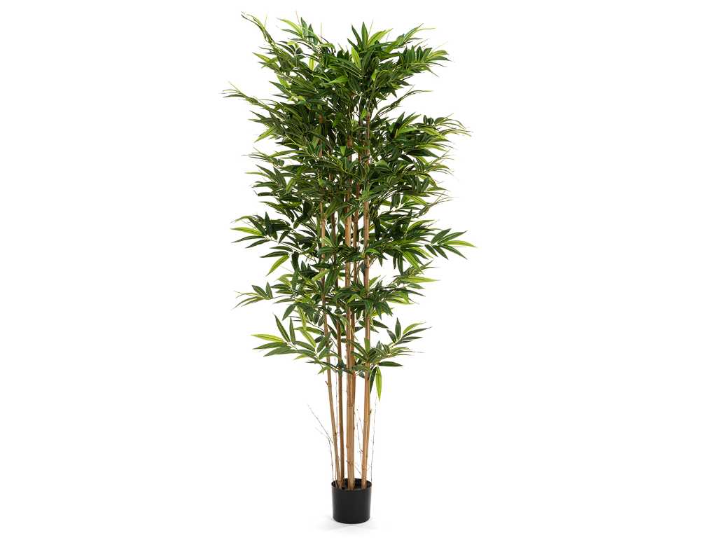 1 x Large bamboo tree - Artificial plant - 200 cm