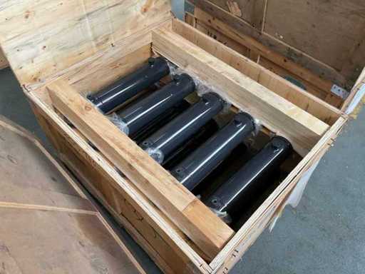 80/40*250 hydraulische cilinder (10x)