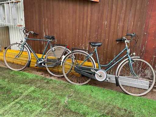 2 biciclette diverse 