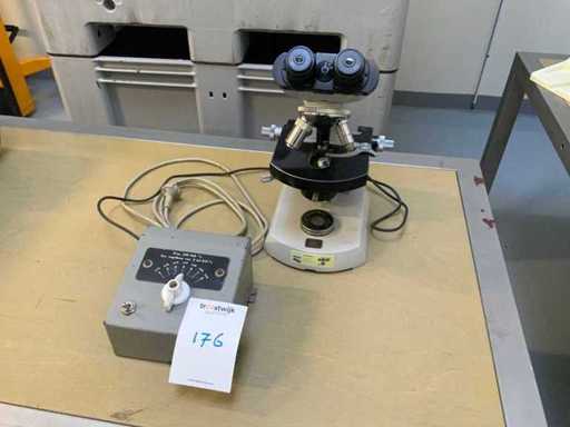 Carl Zeiss Stereo microscope