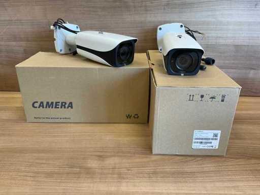 IP Camera (2x)