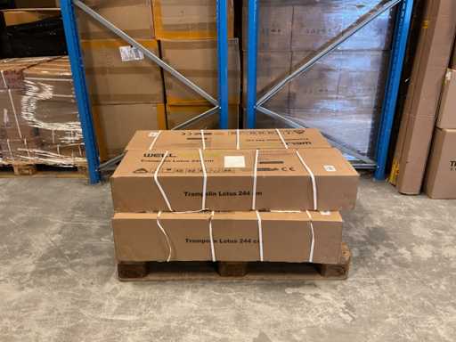 Wellaktives Gartentrampolin 244 cm 