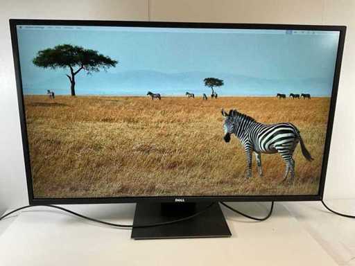 Dell (P4317Q) 43", 3840x2160 (UHD) IPS Monitor