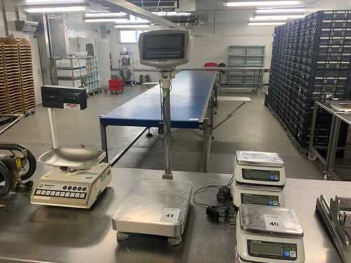 Échelle Riba Arci-35