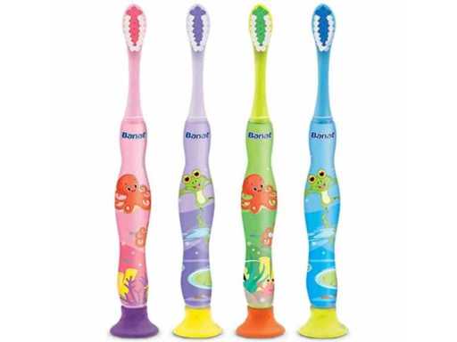 Brosses à dents Banat à rabat (74x)