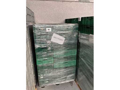 Plastiek bakken (50x)