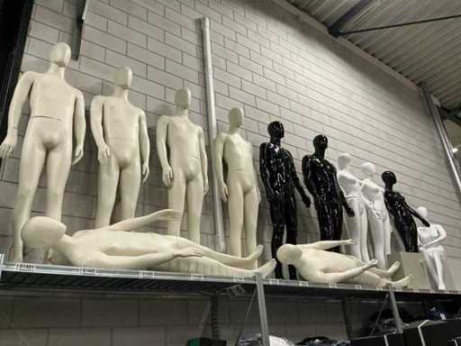 Partij diverse paspoppen (12x)