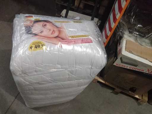 Perne de calitate hotelier? (10x)