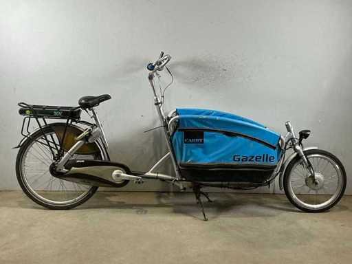 Electric women's bike