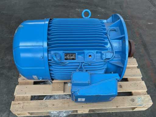 Motor eléctrico Elektra 2018