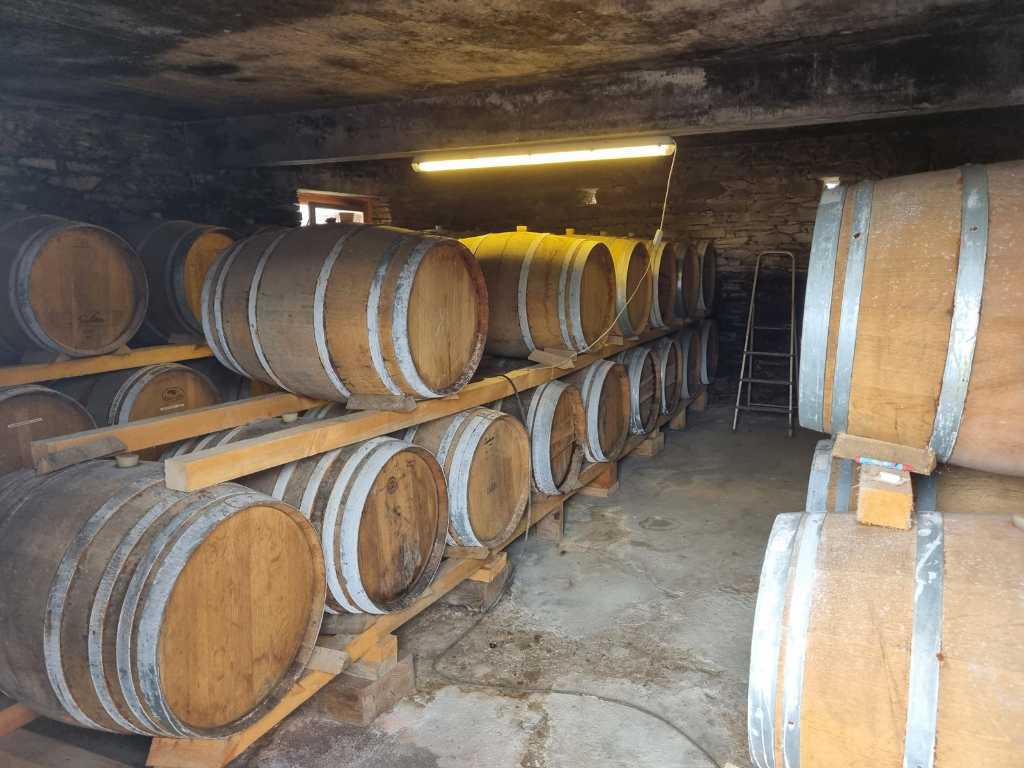 Apple cider vinegar from 2013 in wooden barrels (5x)