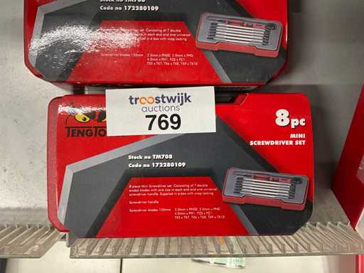 Tengtools Mini set di cacciaviti