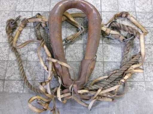 Finn. Collare da cavallo, usato (U3) 