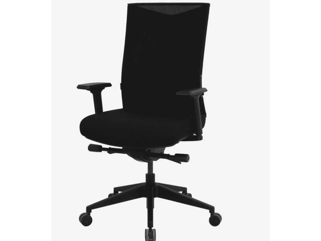 Schaffenburg Series 085 Office Chair (2x)