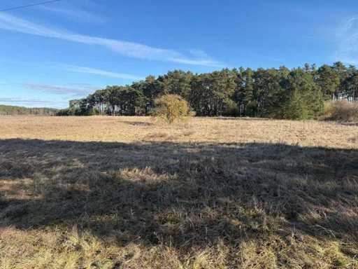 Land of approx. 1.75 ha next to nature campsite Ragösen - Fläming - Germany