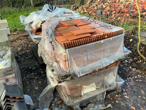 TERREAL Tegelpannen (1250x)