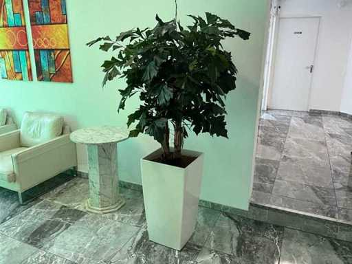 Plant met pot 40x40x180 cm