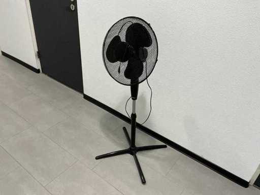 Fan și diverse