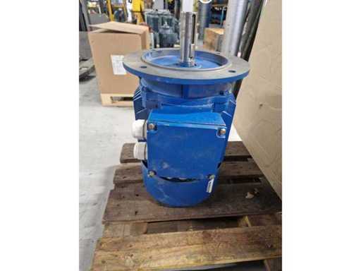 MOLL  IEC electromotor