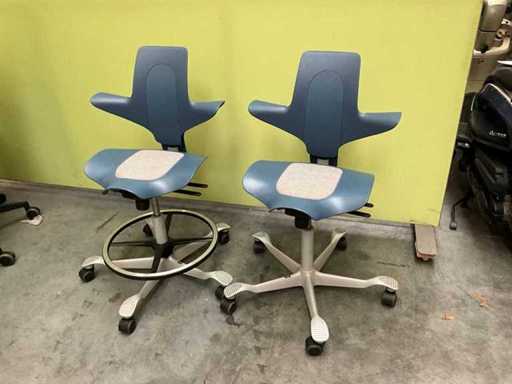 Häg Capisco Stool ergonomic (2x)